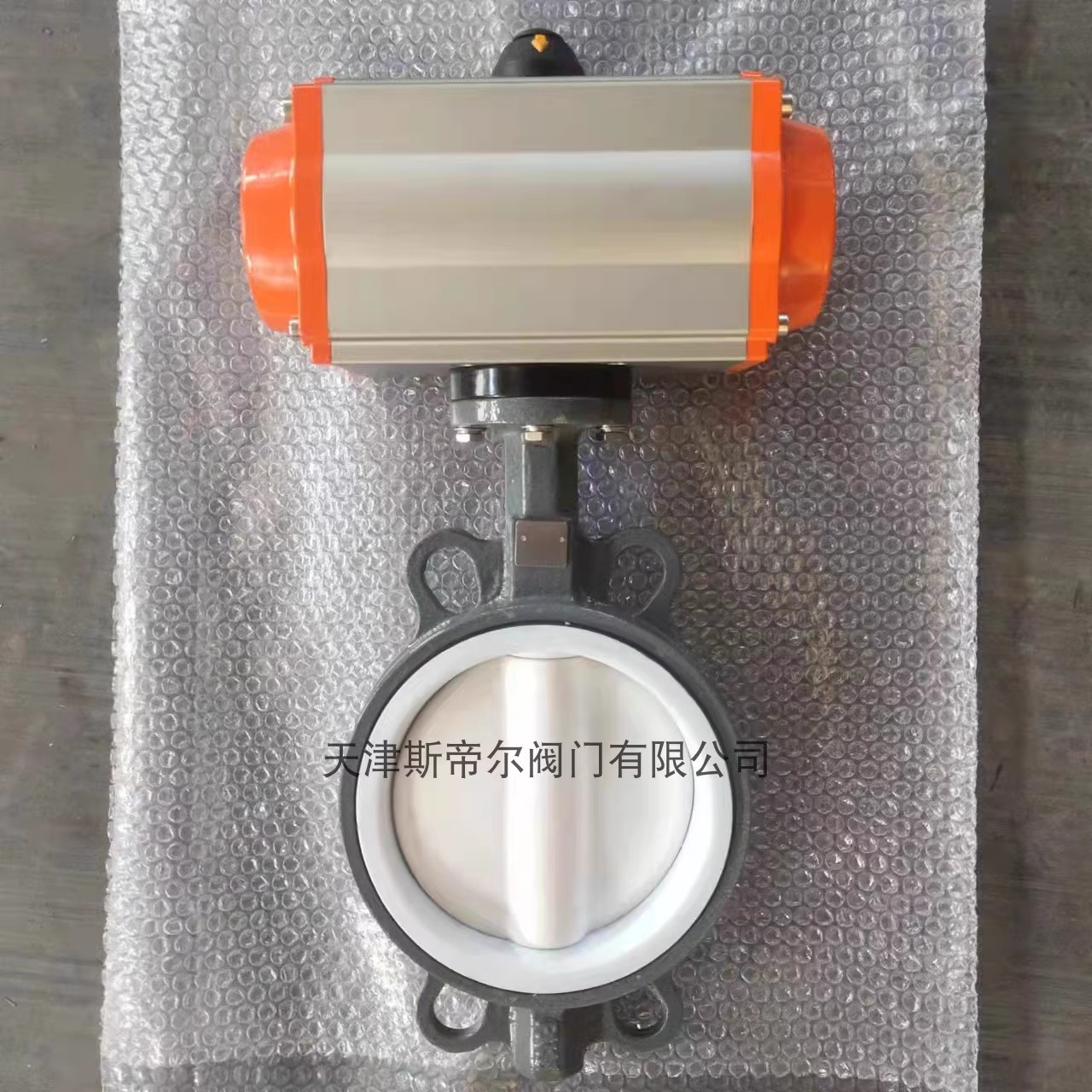 四氟蝶閥系列